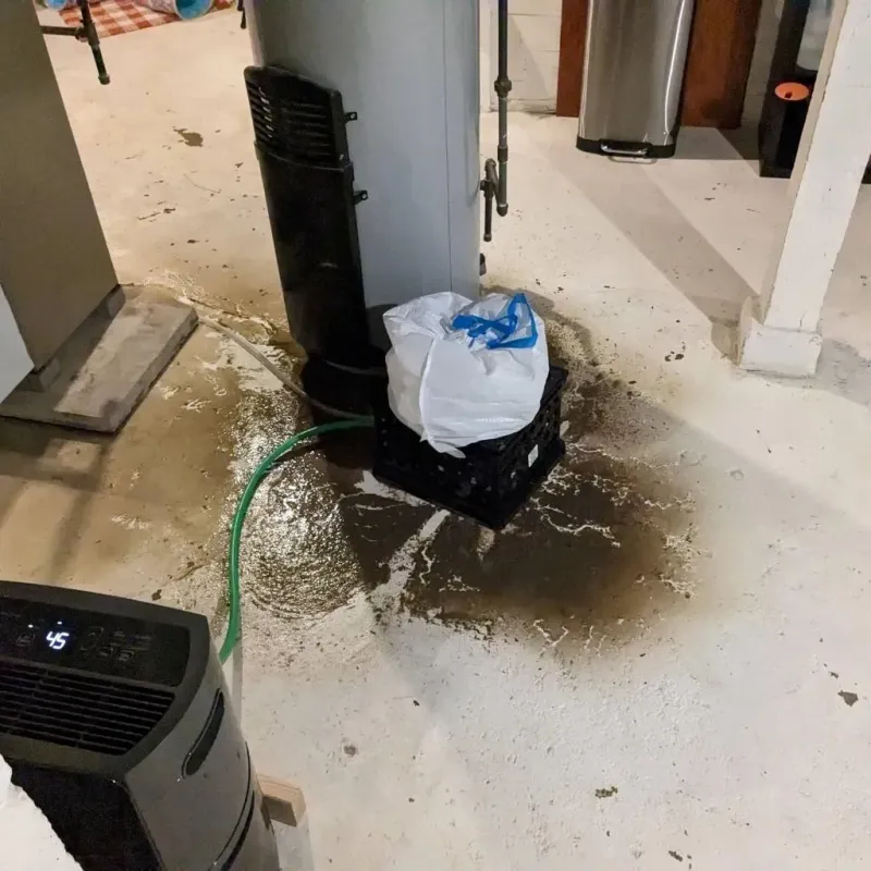 Sewage Backup Cleanup Service in Splendora, TX